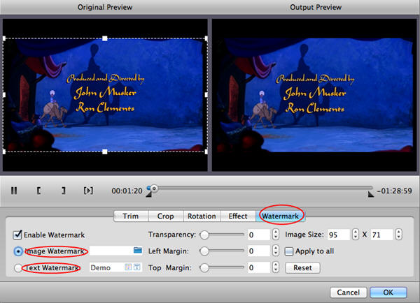 Add watermark with DVD Ripper for Mac