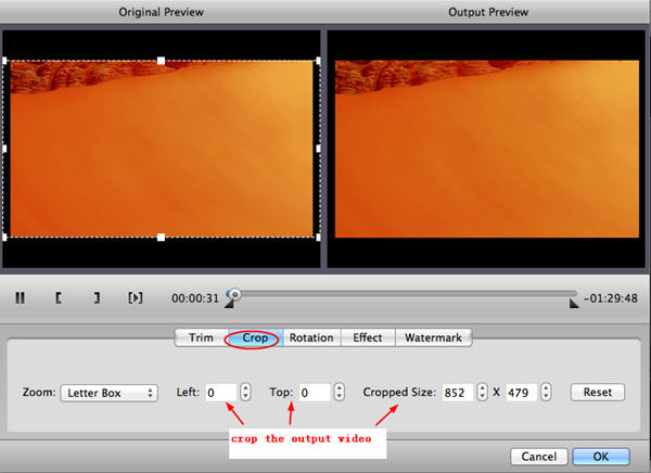 Crop video with DVD Ripper for Mac