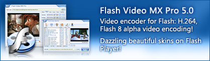 video to flv