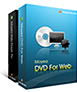 DVD to Flash Converter Studio