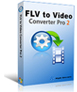 FLV to Video Converter