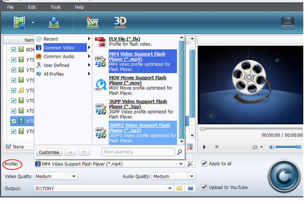 Set output video with Moyea Video4Web Converter