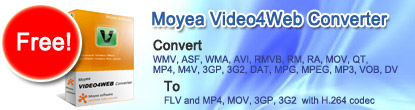 Web player - create flash video player for web