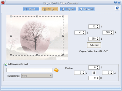Crop video for conversion